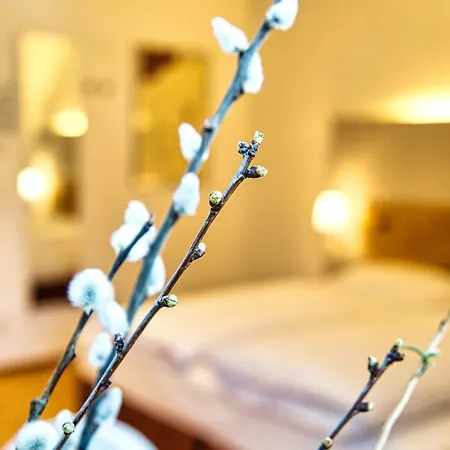 Otel Parkhotel Steimker Berg 4*