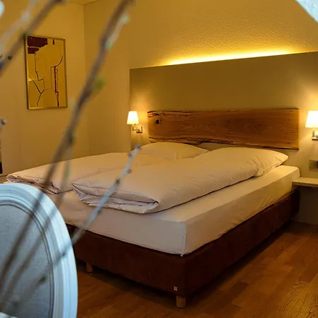 Parkhotel Steimker Berg Otel 4*
